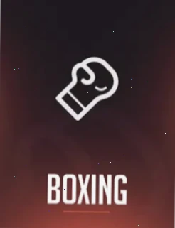Rainbet Boxing Sports Betting